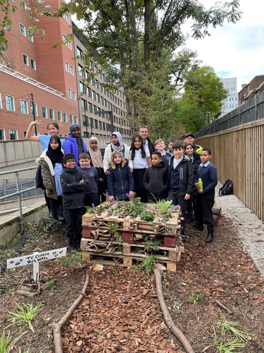 Bug Hotel 1