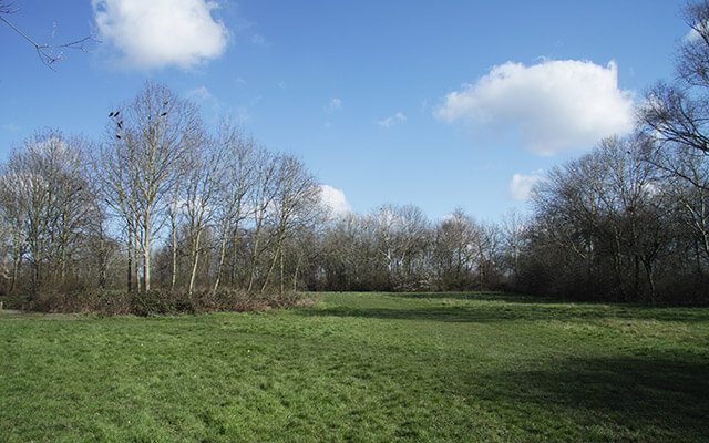 Wormwood Scrubs